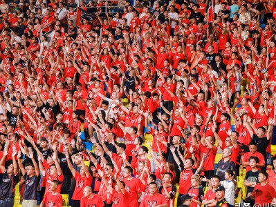 赛地聚焦：亚冠今夜热度飙升，山东泰山完成体检，球迷炸锅，训练强度明显提升的简单介绍-九游娱乐APP